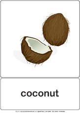Bildkarte - coconut.pdf
